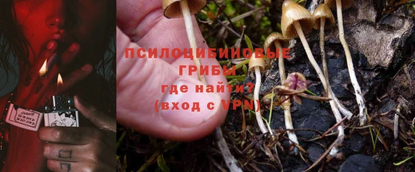 скорость Алзамай