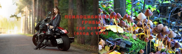скорость Алзамай